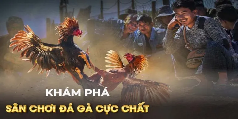 Bí Quyết Cách Chơi Đá Gà GA28 Tại V9Bet Thắng Lớn Mỗi Ngày 2 Bí Quyết Cách Chơi Đá Gà GA28 Tại V9Bet Thắng Lớn Mỗi Ngày