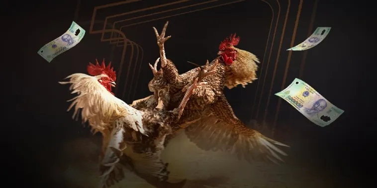 Khám Phá Sức Hút Của Đá Gà V9Bet Cùng Kê Thủ Lão Làng